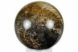 Polished Petrified Palm Root Sphere - Indonesia #309000-1